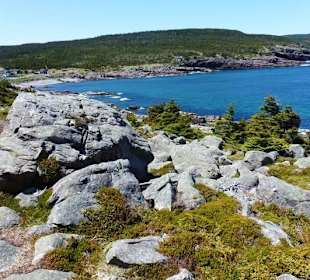 Cove
