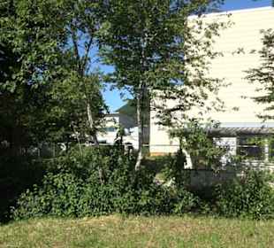 Turn- und Festhalle Öschingen