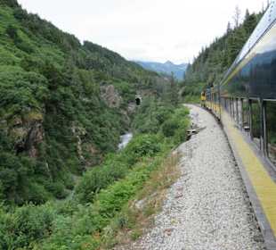 Mit der Train in der Natur Alaskas