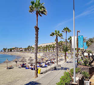 La Palapa Beach Club
