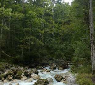 Wandern an der Ramsauer Ache durch den Zauberwald