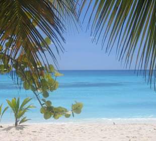 Karibik pur!