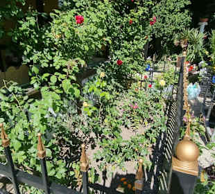 Herrlicher Minigarten an der Laube