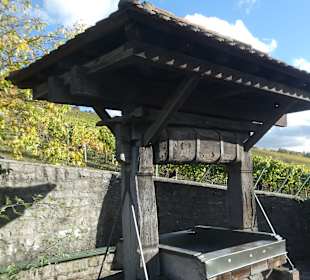 Über den Stein-Wein-Pfad durch den Weinberg