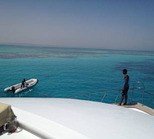 Ein wundervoller Tag mit Mogli Delfine & Freunde