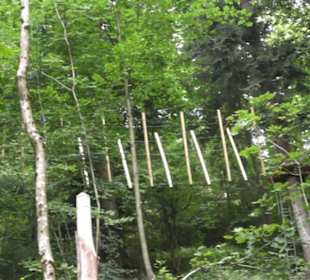 Natur-Hochseilgarten Triberg