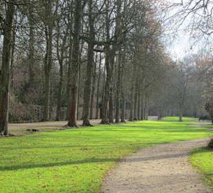 Schlosspark Schwetzingen im Winter