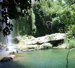 Ein absolutes Erlebnis