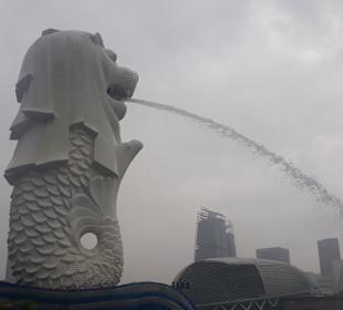 Merlion MBS