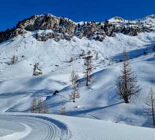 Wintertraum