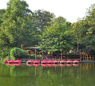 Tretboote und Biergarten im Volksgarten Köln