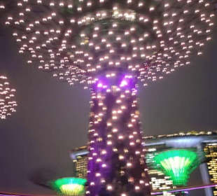 Super Trees bei Nacht 