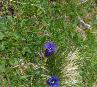 Wandern Bramberg am Wildkogel