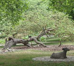 Skurril gewachsener Baum