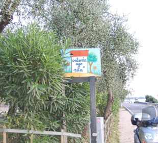 Die Einfahrt von der Strasse