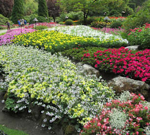 Im Butchart Garden unterwegs