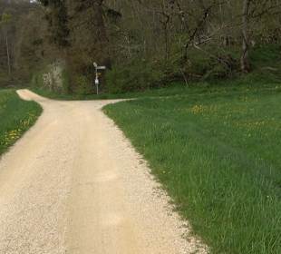 Eiszeitpfad - Burgfelsenpfad