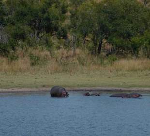 Krüger Nationalpark