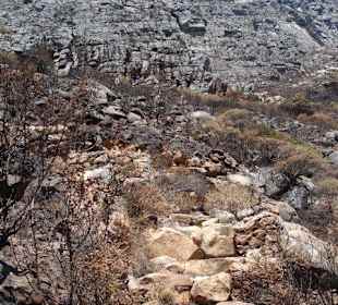 Wanderung auf denTafelberg