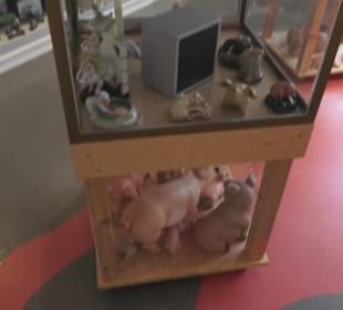 SchweineMuseum