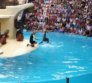 Ausflug nach Loro Parque