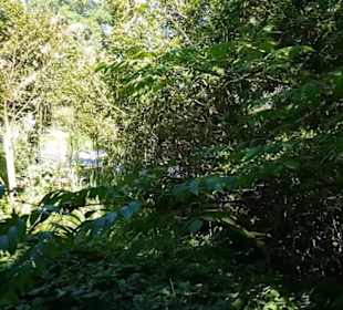Botanischer Garten