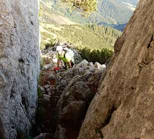 Wandern Scheffau Am Wilden Kaiser