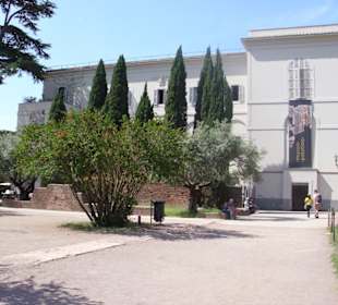 Im Palatino.