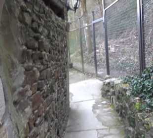 Burg Rheinstein