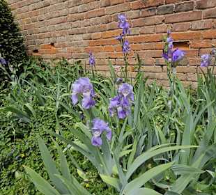 Stadtpark Glacis West
