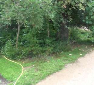 Ehemaliges Palmenhaus