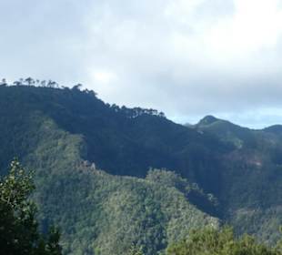 Schönes Wandergebiet im Norden Teneriffas