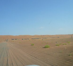 Die letzten 200m zum Al Areesh Camp