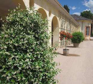 Schloss Favorite Rastatt