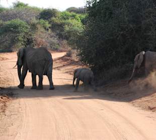 Gemach, gemach wir haben Vorfahrt