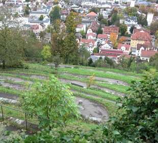 Philosophenweg