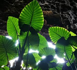 Gegenlicht am Ausgang der Höhle 