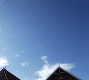 Das gibt es hier noch