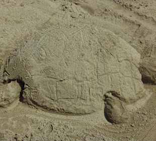 Wenn's im Wasser keine zu sehen gibt 