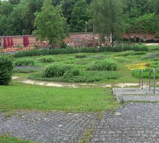 Barfüßer Biergarten im Glacis