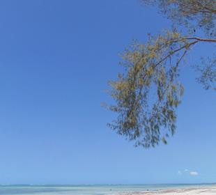 Kiwengwa Beach