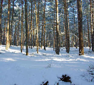 Im Winter