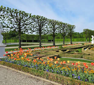 Im Parterre des Großen Gartens