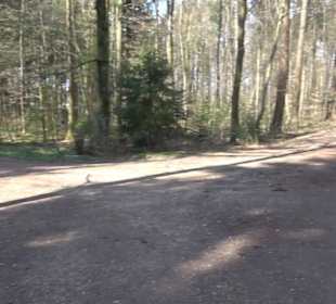 Wanderung Florianrunde