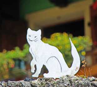 Die Katzen dürfen nicht fehlen