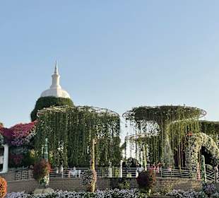Dubai Miracle Garden