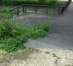 Forellenbächle Glacis Park