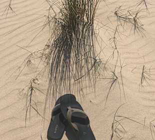 Wandern Cabanas de Tavira