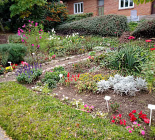 Inselrundfahrt Insel Poel