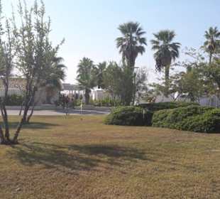 Alle Sorten Bäume,Palmen und Sträucher